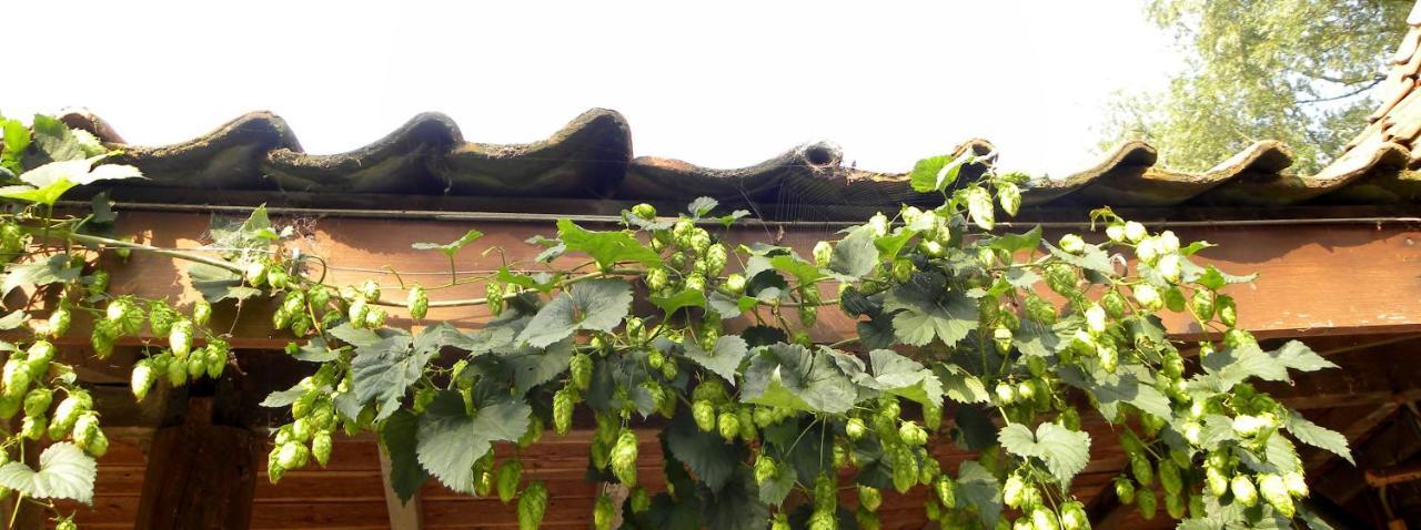 B&B Col Del Vino Wevelgem Exterior photo